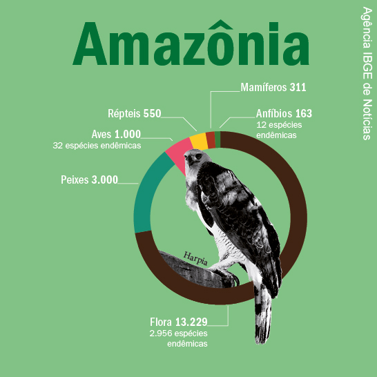Quantidade de espécies vivos do bioma Amazônia- répteis 550, mamíferos 311, aves 1.000, anfíbios 163, peixes 3.000, flora 13.229