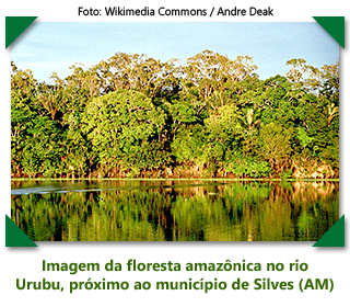Imagem da floresta amazônica no rio Urubu, próximo ao município de Silves (AM) - foto: Wikimedia Commons / Andre Deak