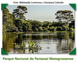 Parque Nacional do Pantanal Matogrossense - foto: Wikimedia Commons / Giovanna Colombi