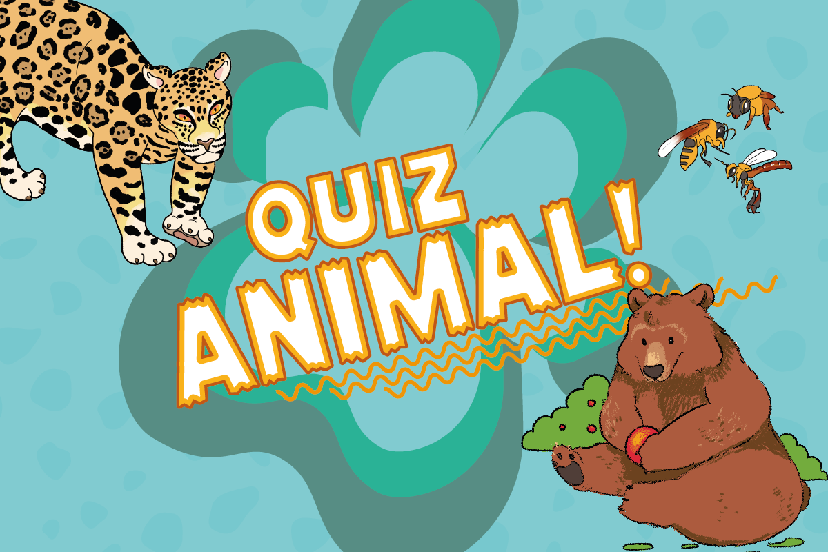 IBGEeduca lança quiz online sobre mundo animal