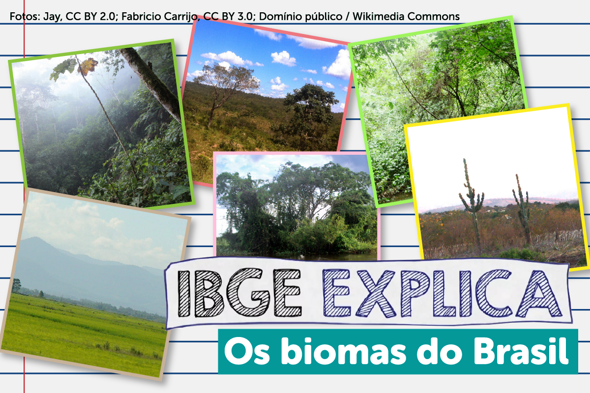 Os biomas brasileiros