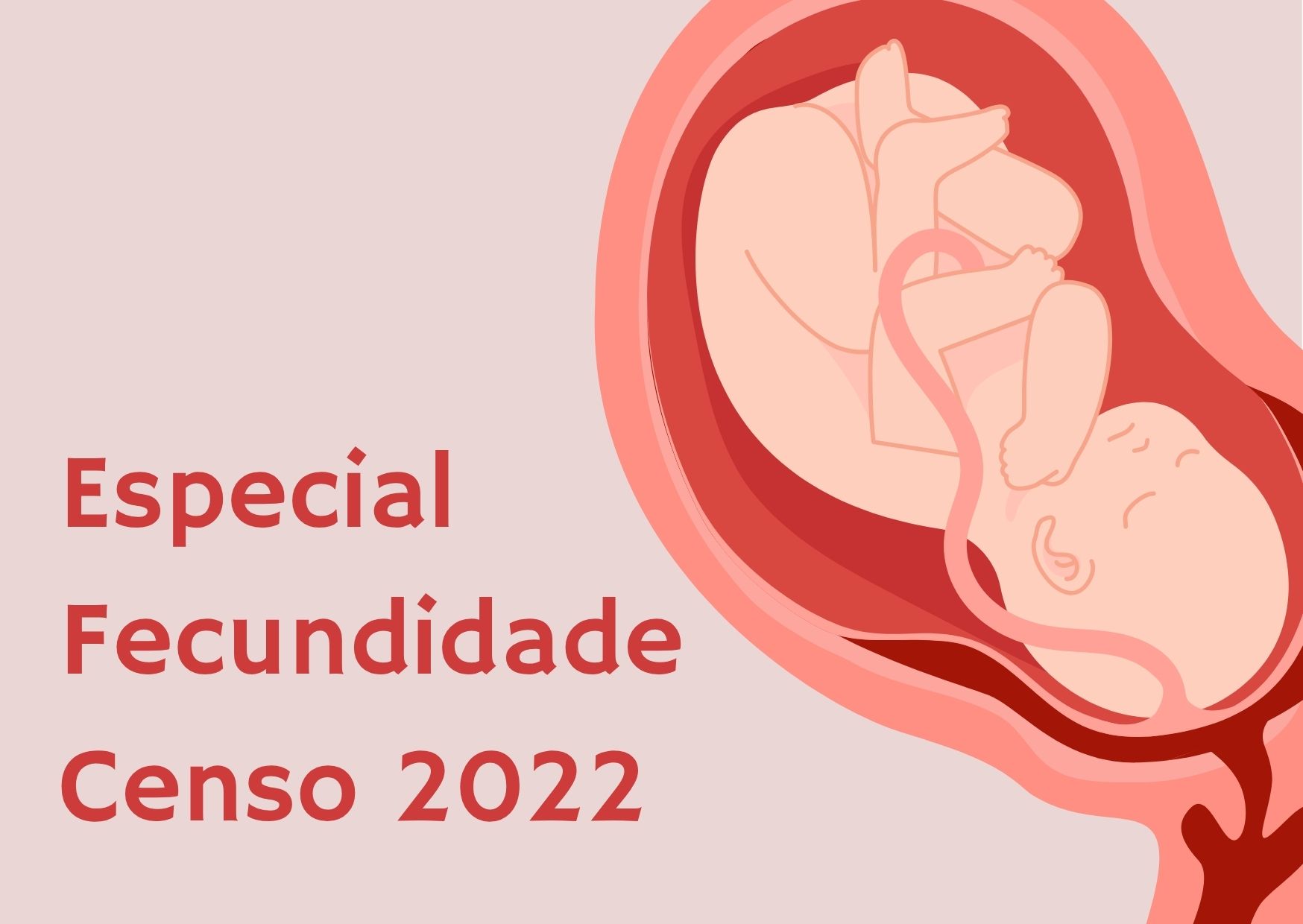 Taxa de fecundidade do país caiu para 1,55 filho por mulher, de acordo com o Censo 2022