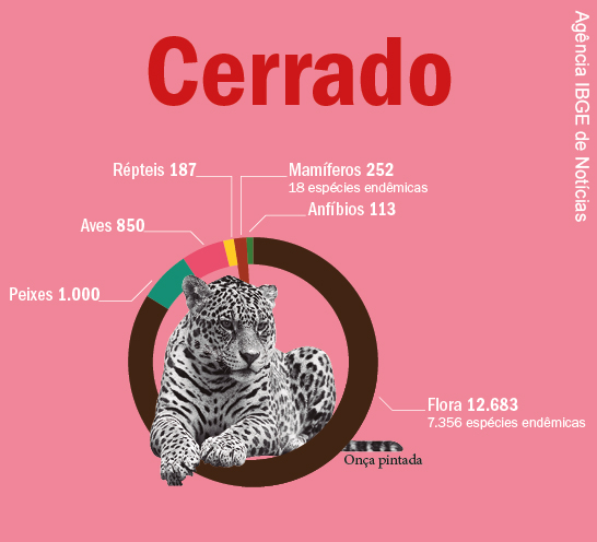 Quantidade de espécies vivos do Bioma Cerrado- répteis 187, mamíferos 252, aves 850, anfíbios 113, peixes 1.000, flora 12.683