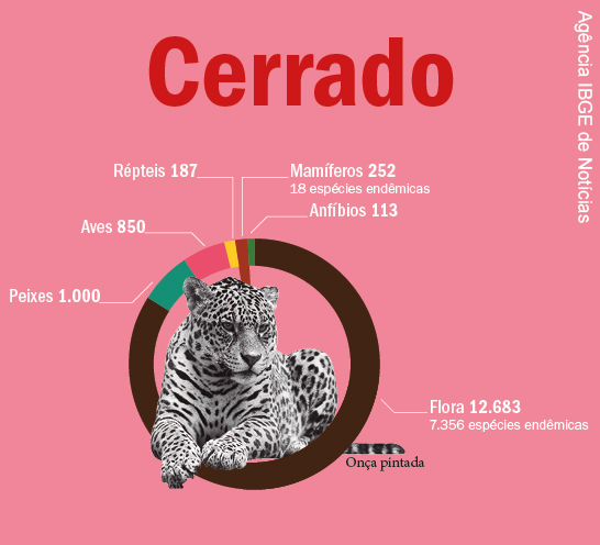 Mata Atlântica é o bioma com mais espécies de fauna e flora