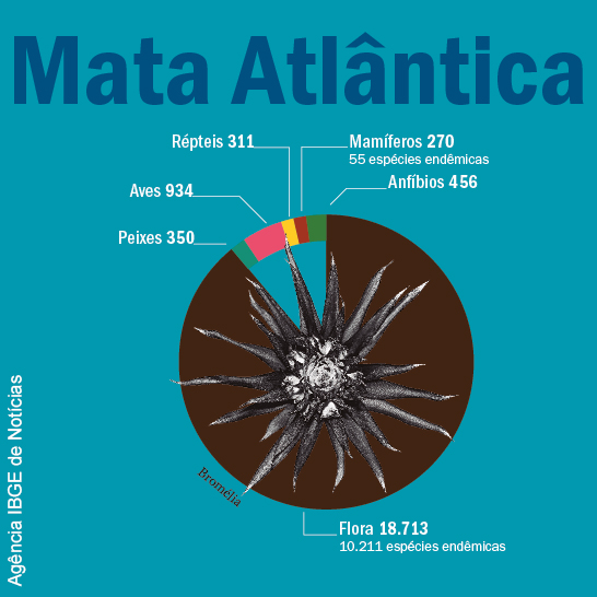 Quantidade de espécies vivos do Bioma Mata Atlântica- répteis 311, mamíferos 370, aves 934, anfíbios 456, peixes 350, flora 18.713