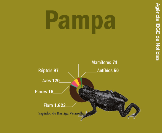Quantidade de espécies vivas no Bioma Pampa- répteis 97, mamíferos 74, aves 120, anfíbio 50, peixes 18, flora 1.623
