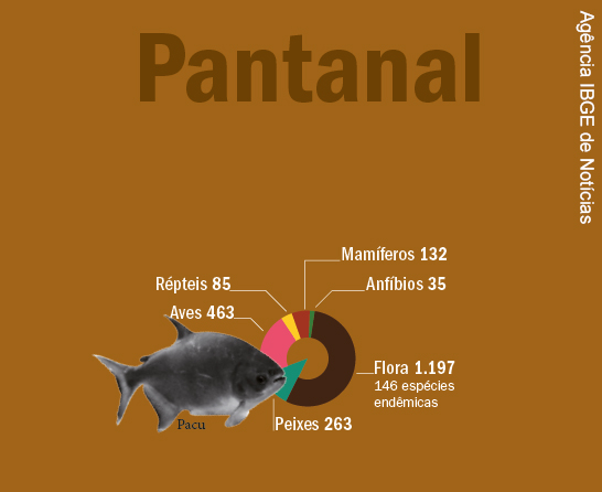 Quantidade de espécies vivas do Bioma Pantanal- répteis 85, mamíferos 132, aves 463, anfíbios 35, peixes 263, flora 1.197