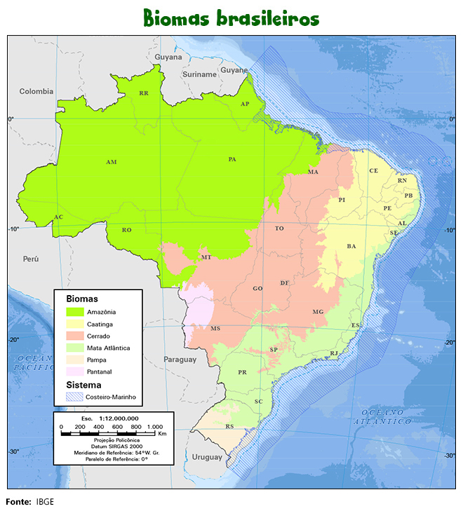 O Que é O Bioma Brasileiro