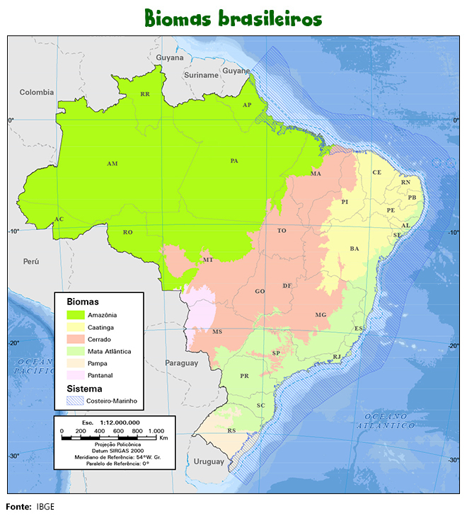 Biomas Brasileiros Educa Jovens IBGE